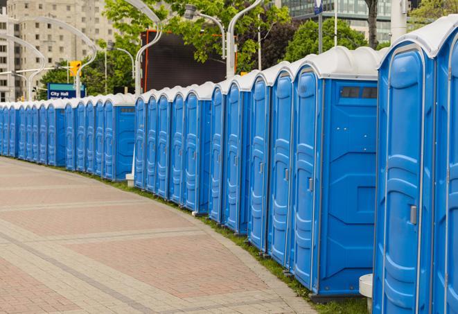 Seasonal porta potty units set up at a Dover, Delaware venue